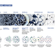 Illustration for article titled These 234 Proto-Clusters Are A Rare Look Into Galaxy Cluster Formation